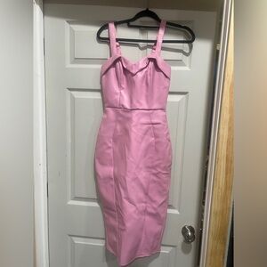 Deadly Dames Bubble gum pink faux leather dress.